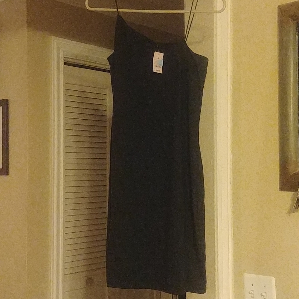 Wild fable dress